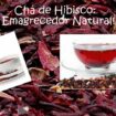Blog98 105x105 - Emagreça com Chá de Hibisco!