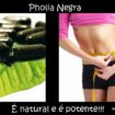 Blog99 105x105 - Fitoterápicos Que Emagrecem: Pholia Negra