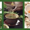 Blog120 105x105 - O Chá Que Elimina Barriga, Trata a Pele, o Cabelo e a Saúde!