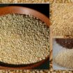 Blog97 105x105 - Os Benefícios Da Quinoa