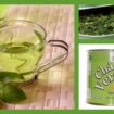 2011 10 311 105x105 - Os Benefícios Do Chá Verde!