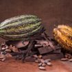 CACAU CHOCOLATE 105x105 - Do Cacau Ao Chocolate
