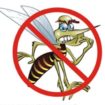 dengue 105x105 - Cuidado com a dengue