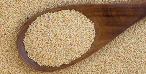 amaranto rico proteina cardapio 11639 - Benefícios do Amaranto