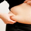 belly fat 105x105 - Perigos da Gordura Abdominal