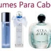 2013 01 24 105x105 - Perfumes Para Cabelos