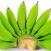 farinha banana verde 105x105 - Conhece a farinha de banana verde? Ela emagrece e ajuda o intestino a funcionar