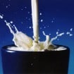 leite 105x105 - Dúvidas sobre o Consumo de Leite