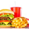 fast food 105x105 - Alimentos que prejudicam o desempenho do cérebro