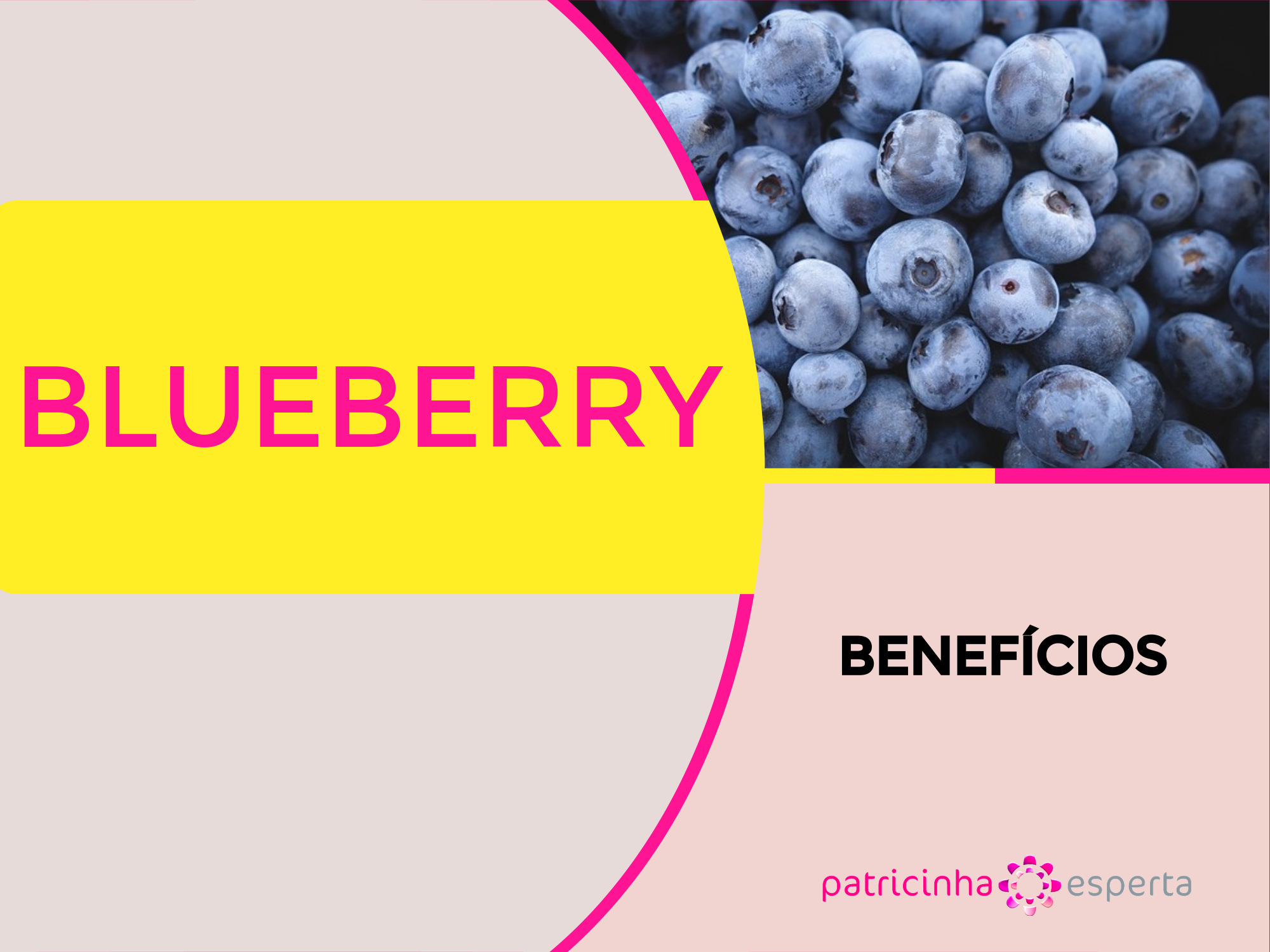  blueberry beneficios