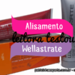 Wellastrate resenha 105x105 - Leitora testou - Alisamento Wellastrate